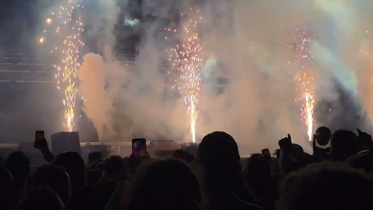 DJ ALIGATOR Vi elsker Vejle 2025