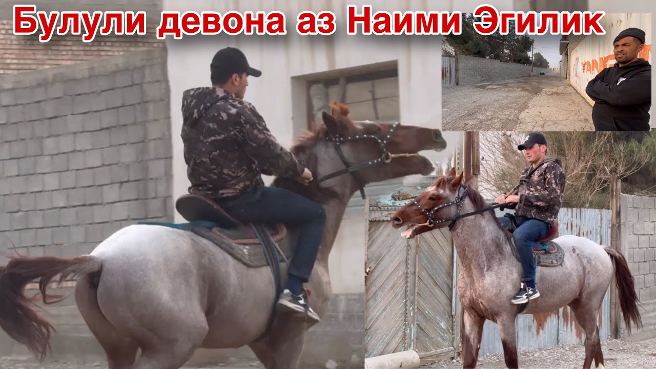 20 января 2024 г.
