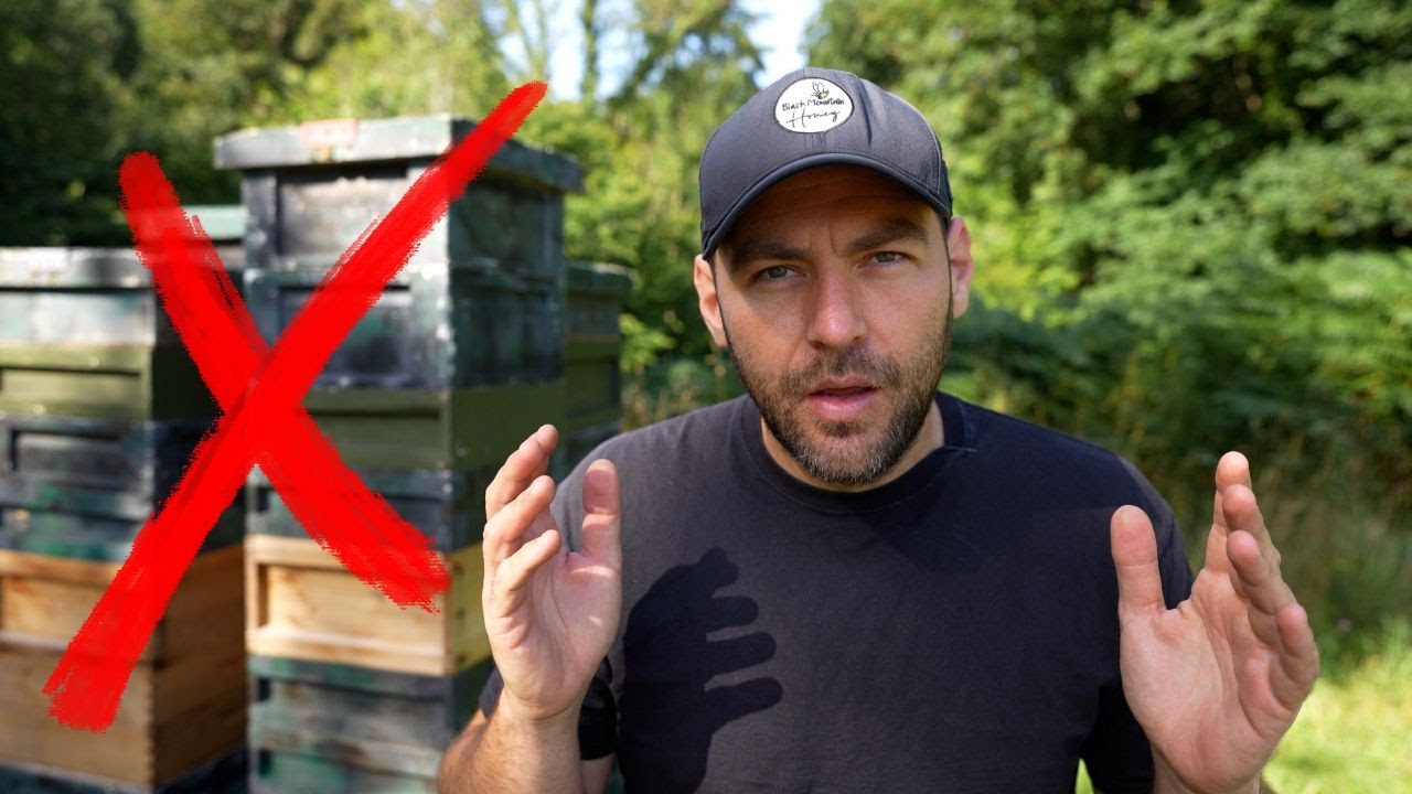 The Keepers Hive Review - A Smarter Hive Setup to Reduce Lifting and Save Your Back
