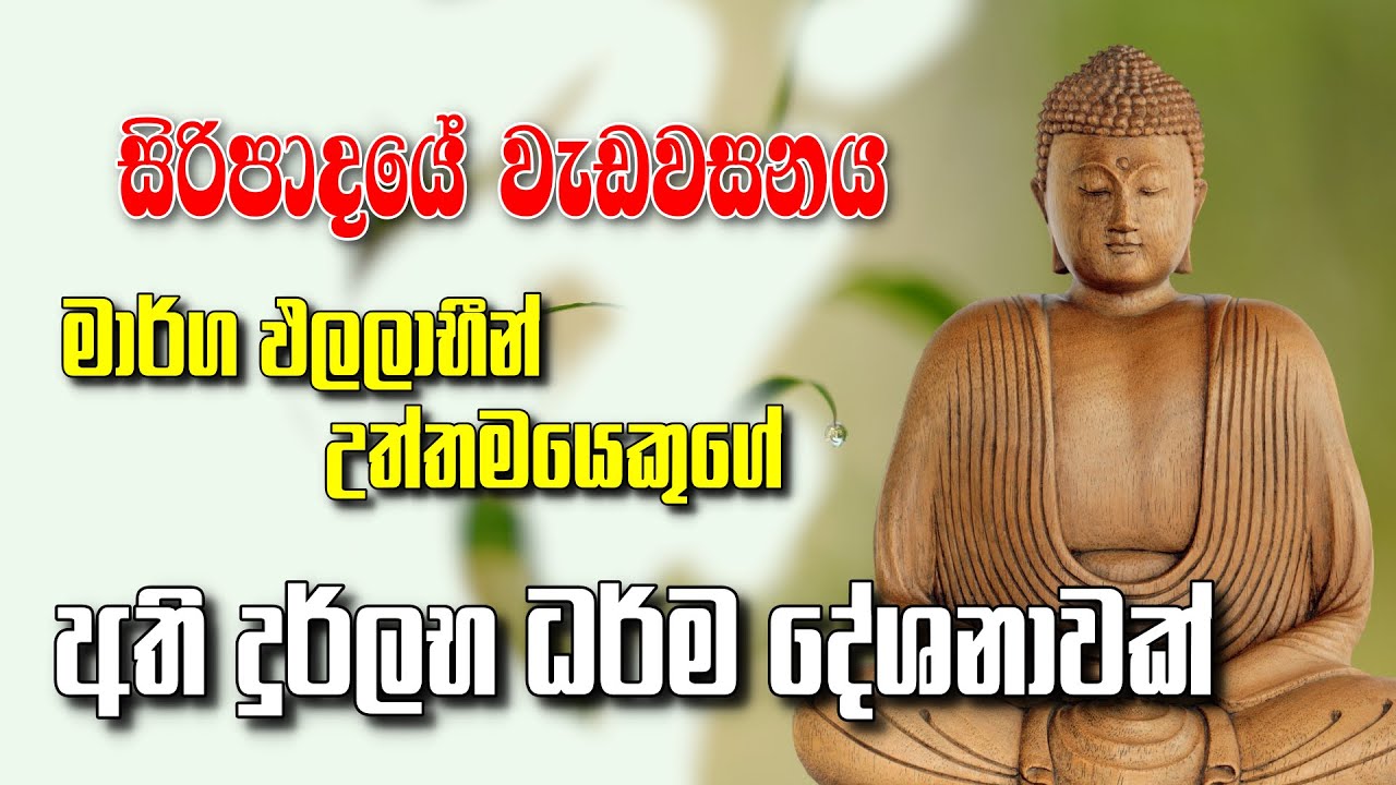 ශ්‍රි පාදයේ වැඩ වසන මාර්ග ඵලලාභි උත්තමයකුගේ අති දුර්ලභ දර්ම දේශනාව.