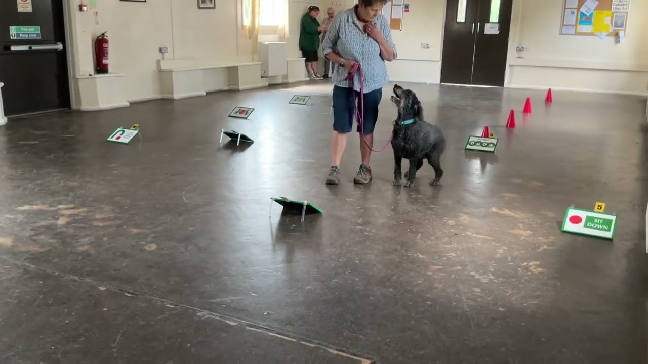 Sunday 8th June 2025 - Level 1 Rally Competition - Rose and Jane Attempt 1