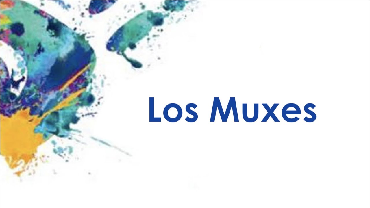 Los muxes en Los 41 tropiezos de la heteronorma en M&eacute;xico