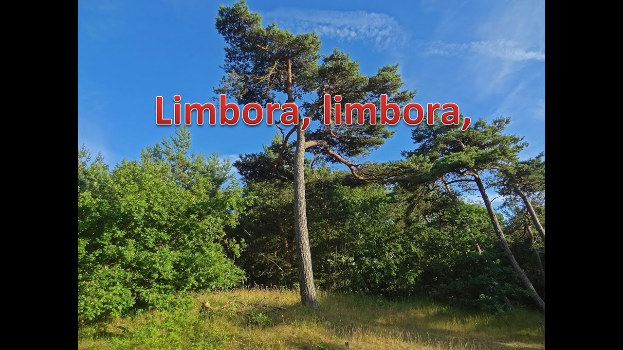 Limbora, limbora, Slovenská Ľudová pieseň. klikni pre Odber. Popis a text, nižšie.Harmonikár Orava.