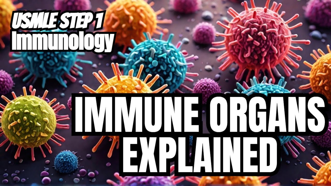 Learn About the Immune System With Easy Diagrams! #usmle #immunology #viral #biology #immunity 