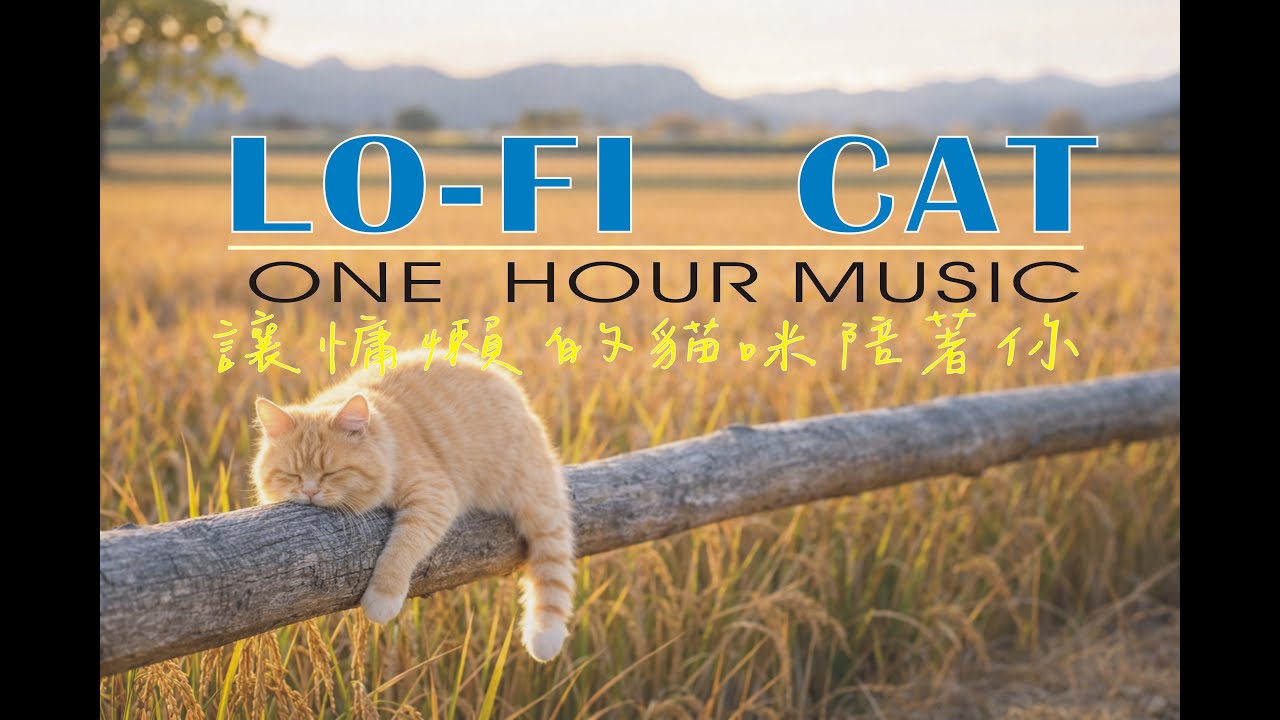 【Soul Sanctuary】  貓咪陪伴的一小時：沉浸式悠閒 ｜ 專注、睡眠、放鬆 1 Hour Study with My Cat 🐈  Focus, Meditate, Relax