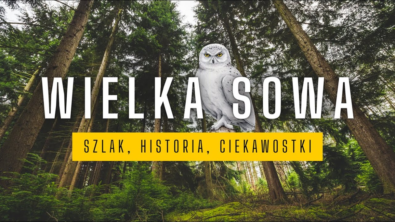 Zdobywam WIELKĄ SOWĘ – Relacja z Górskiej Wędrówki