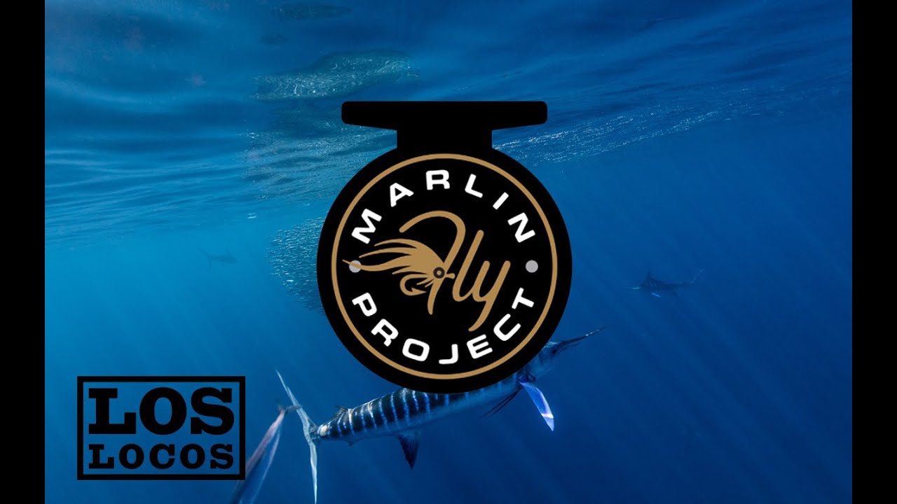 The Marlin Fly Project | Tagging Striped Marlin in Magdalena Bay, Mexico