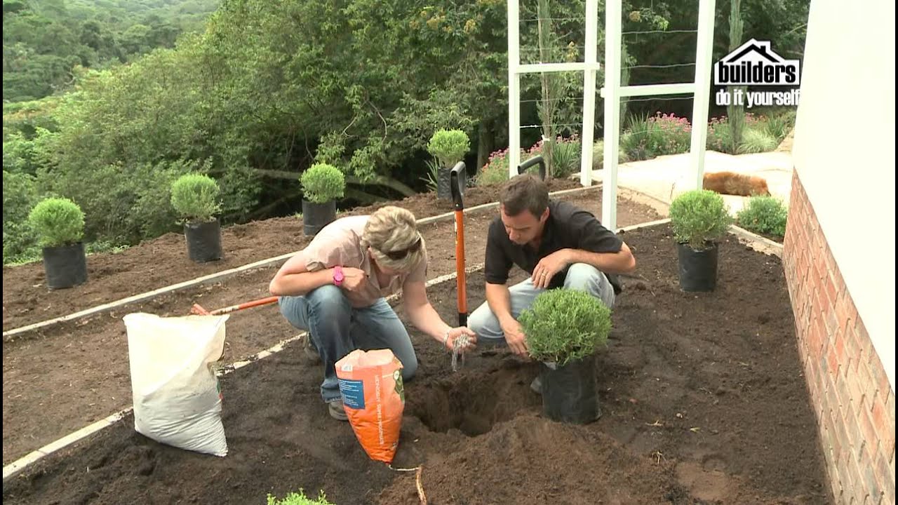 Builders DIY: Designing your Garden - Planting