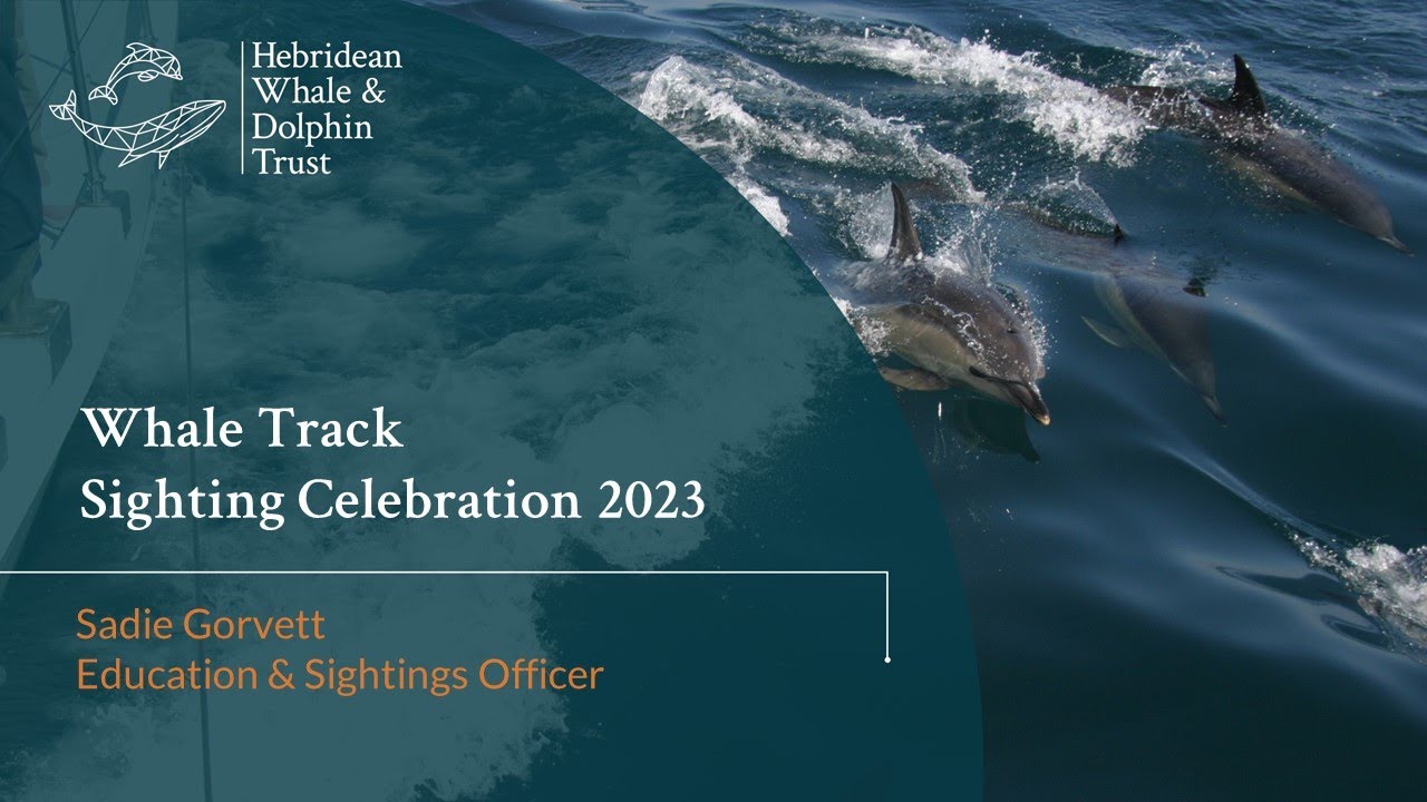Whale Track Sightings Celebration 2023