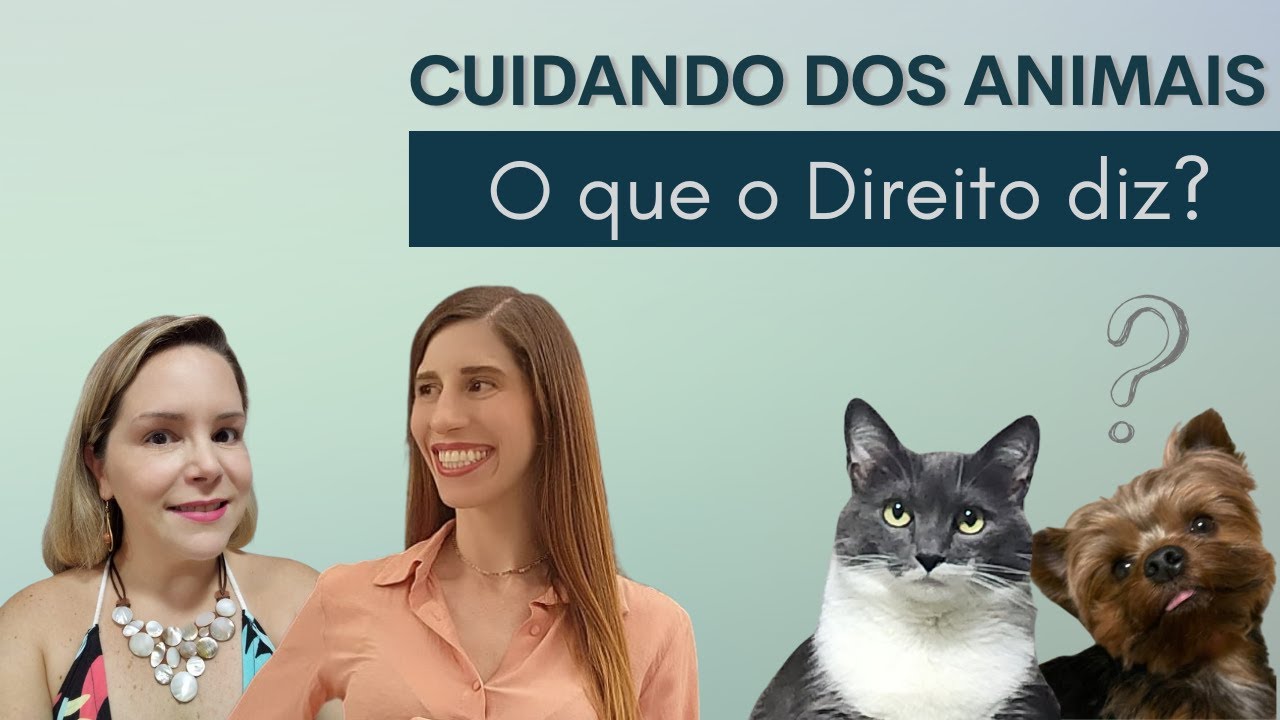 CUIDANDO DOS ANIMAIS: o que o Direito diz?
