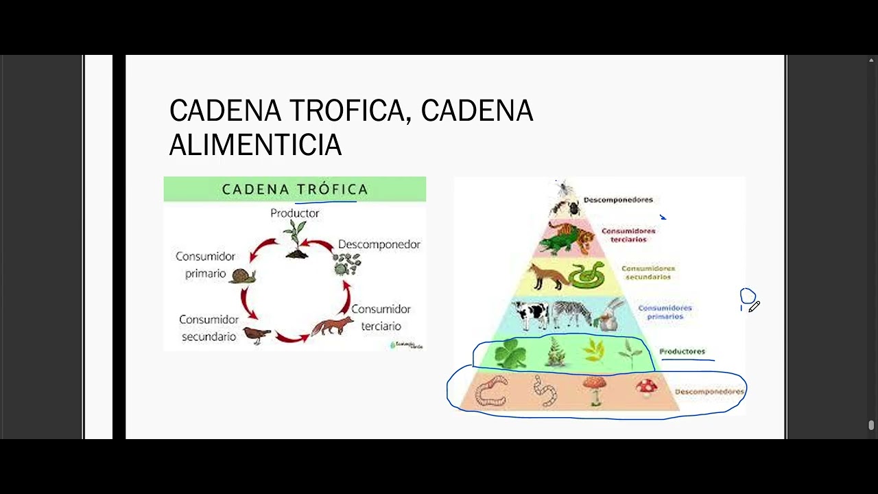 COMO PASAR TU EXAMEN DE ADMISION - EXANI 1 - SIMULADOR - PREGUNTA 29 y 30