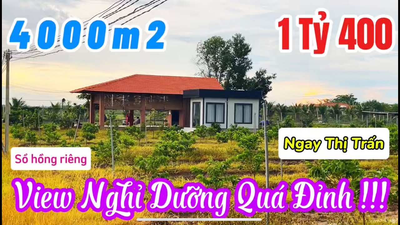 ( Đã Bán) Đất 4000m² View Núi Bà💥 Ngay Thị Trấn ,  Xung Quanh Toàn Khu Nghỉ Dưỡng – Giá Chỉ 1 Tỷ 4!
