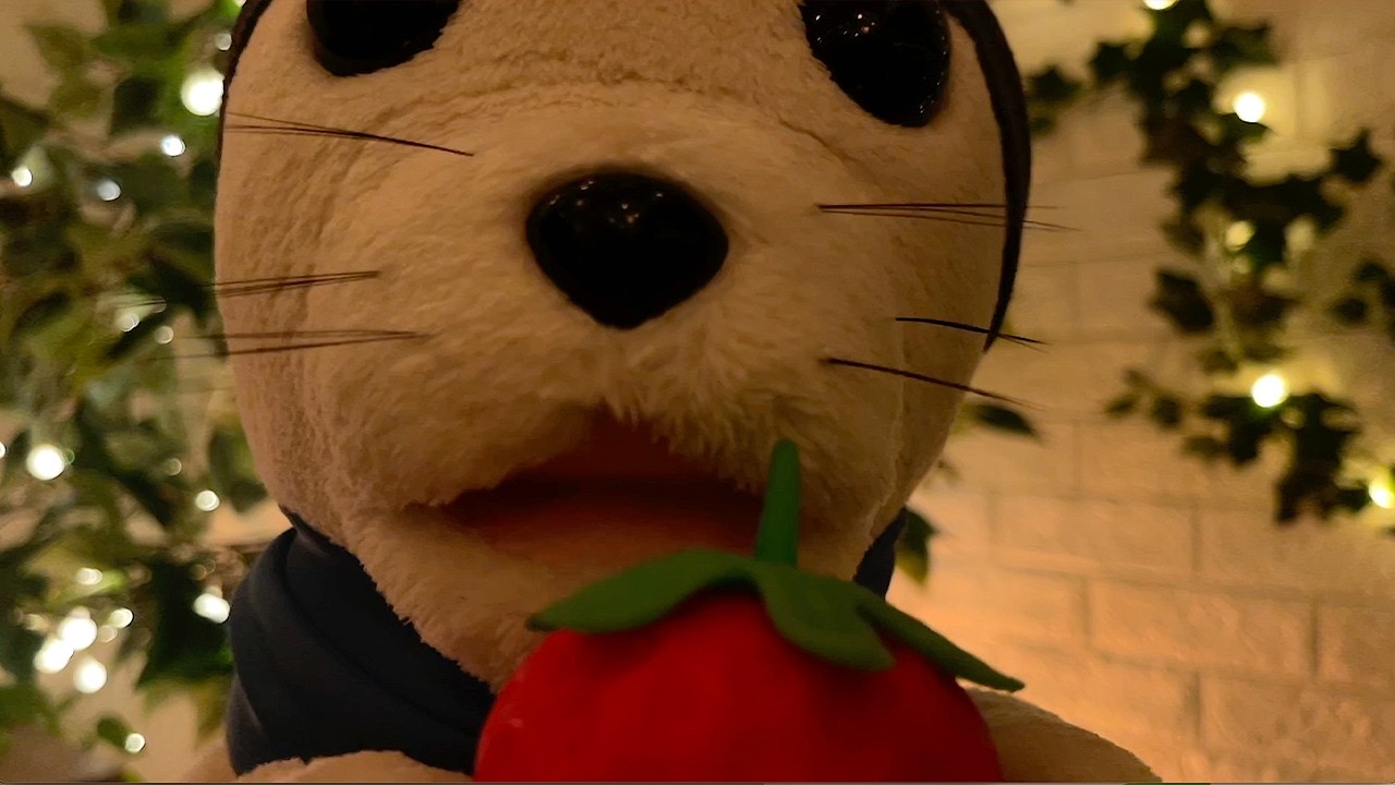 Fluffy Seal Shares His Strawberry Toy For A Cozy Ear Cleaning Session 🍓🦭 | ASMR