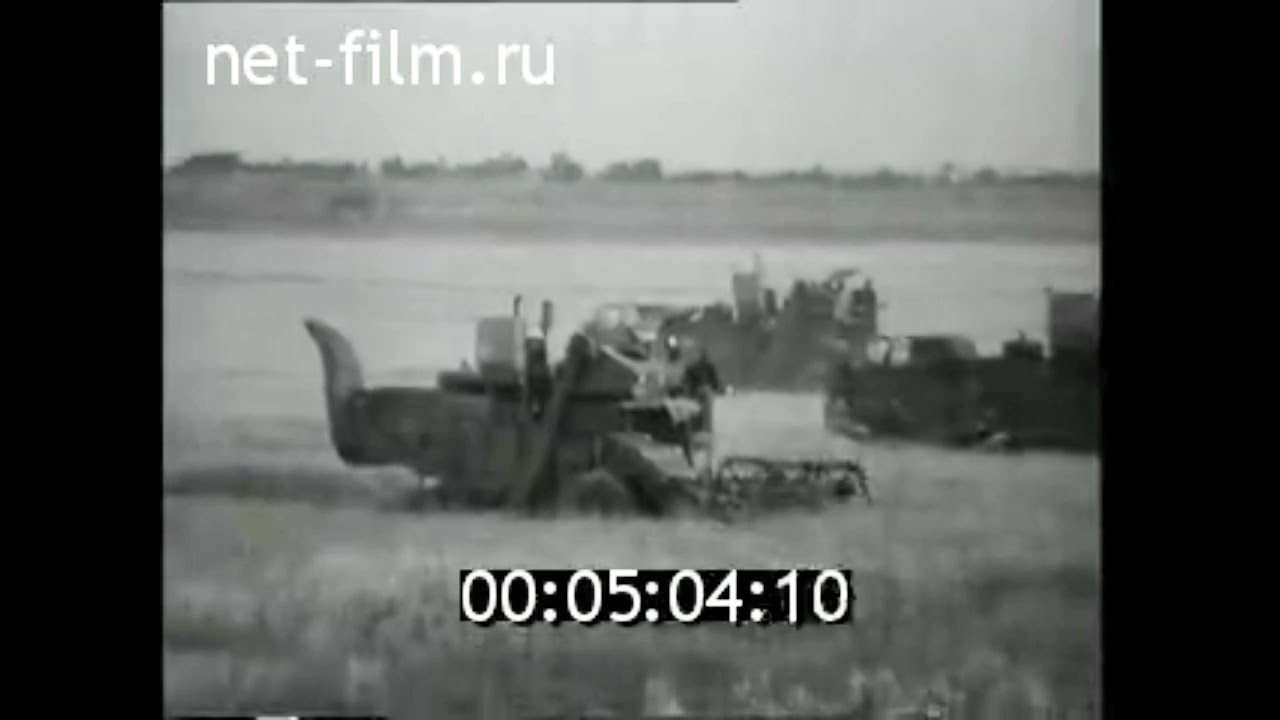 1973г. совхоз Дарбаза Сарыагашский район Чимкентская обл Казахстан