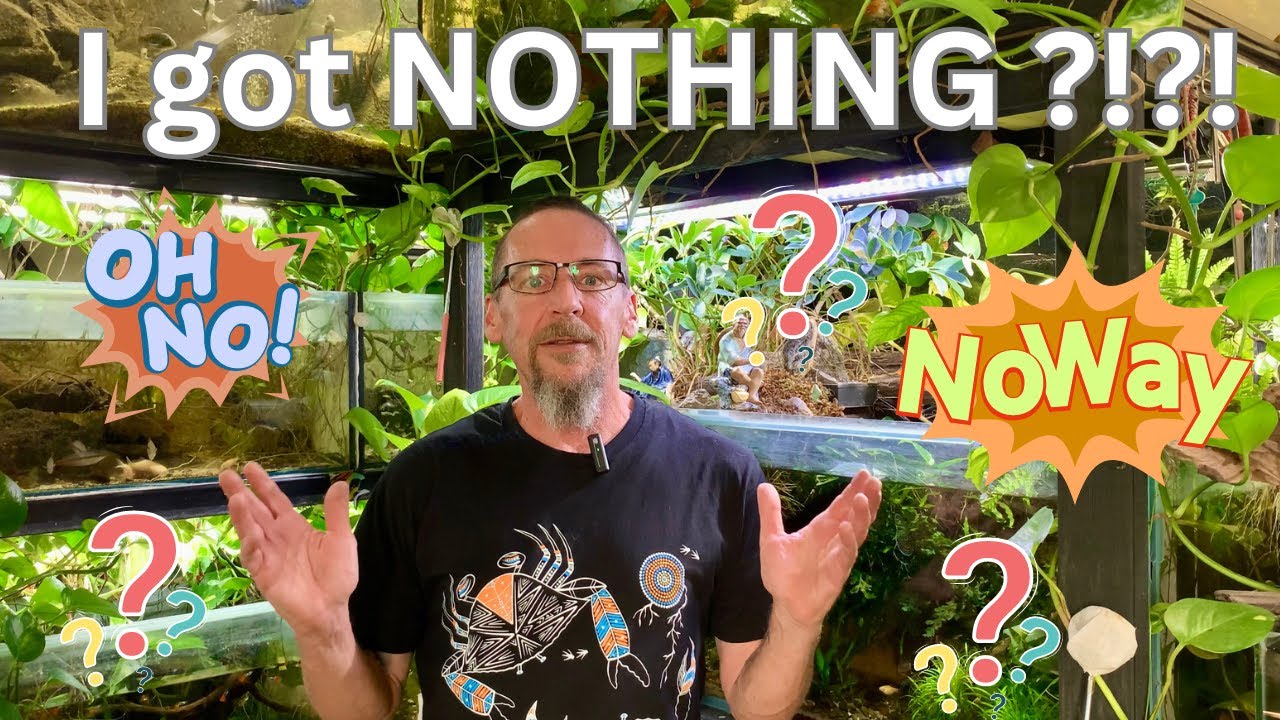 I got NOTHING this week but surprises !