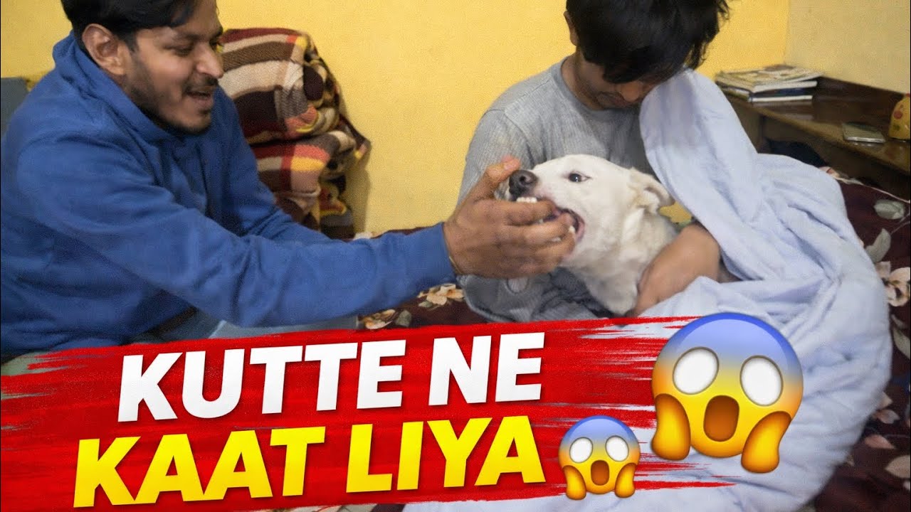 Ye kya hogya🤯//new car#like #funny #newcar #youtube #vlog #dog 