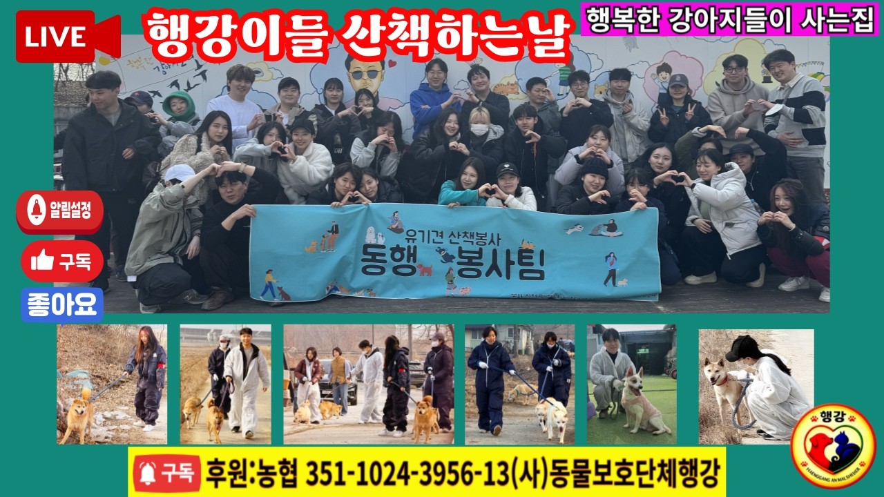 #입양해주세요 행강이들 밥먹고 산책가자~. #동행유기동물봉사단 #밥묵자 #입양홍보방송 #행강유기견보호소#유기견산책 #유기견봉사