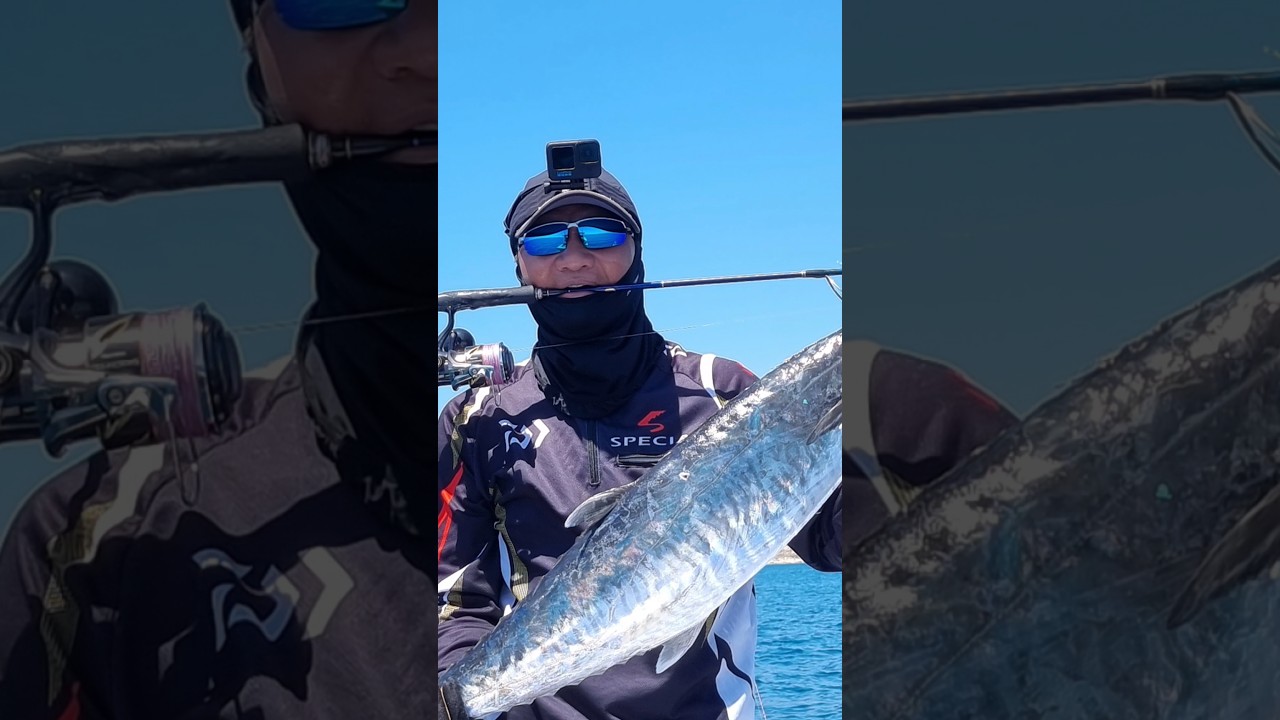 C&acirc;u c&aacute; Thu, Jigging gần bờ gặp c&aacute; Thu gần 10kg. Chạy x&eacute; nước.@