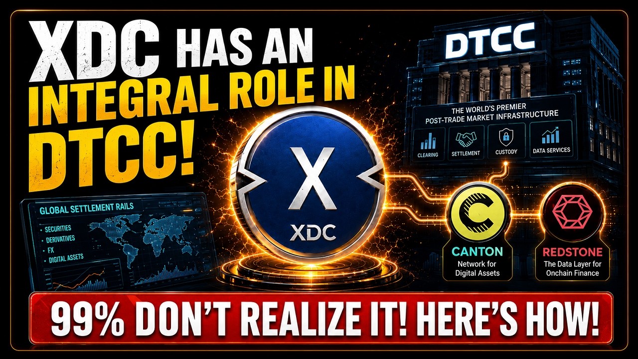⚠️Владельцы XDC! XDC играет важную роль в DTCC, а 99% даже не подозревают об этом!