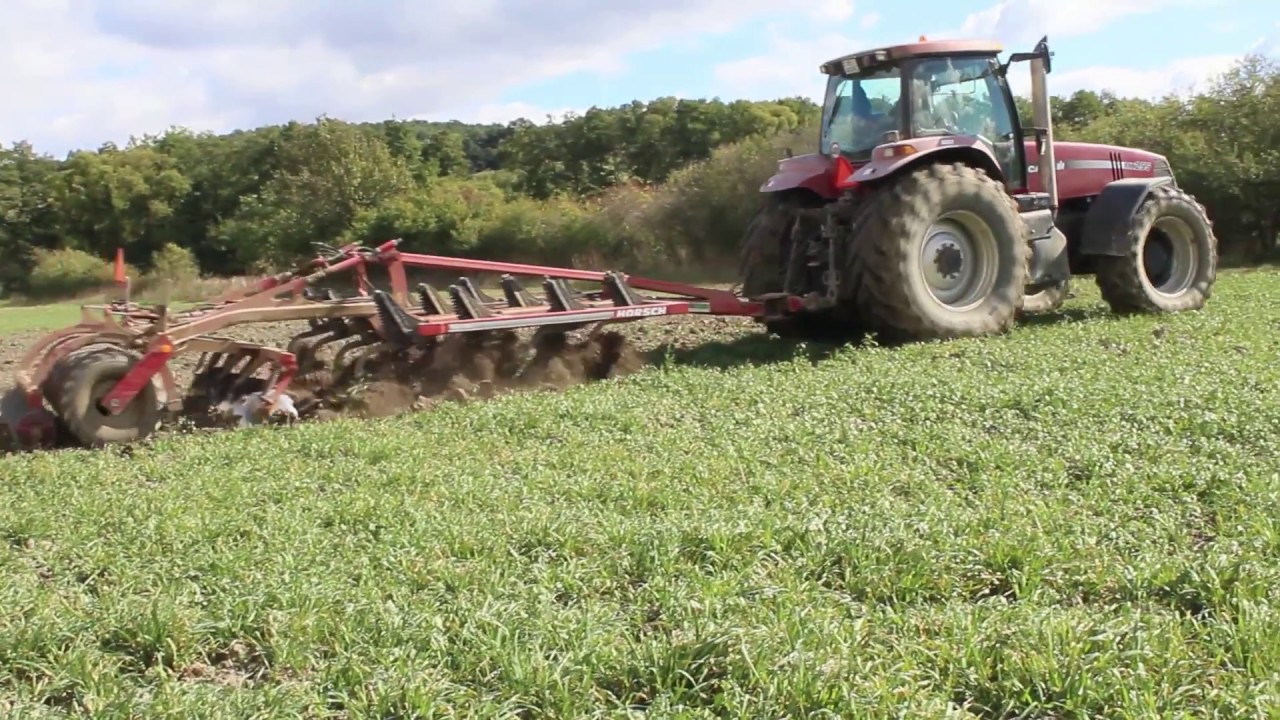 Podryvanie- Case Mx255 Horsch tiger 3AS