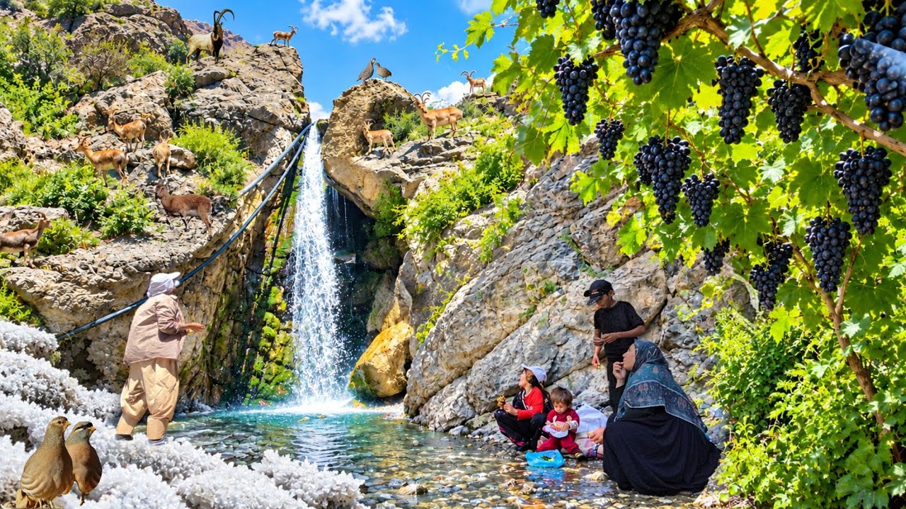 🔥🐐Nomadic Family vs. Wild Goats in the Harsh Zagros Mountains!🏔🍇