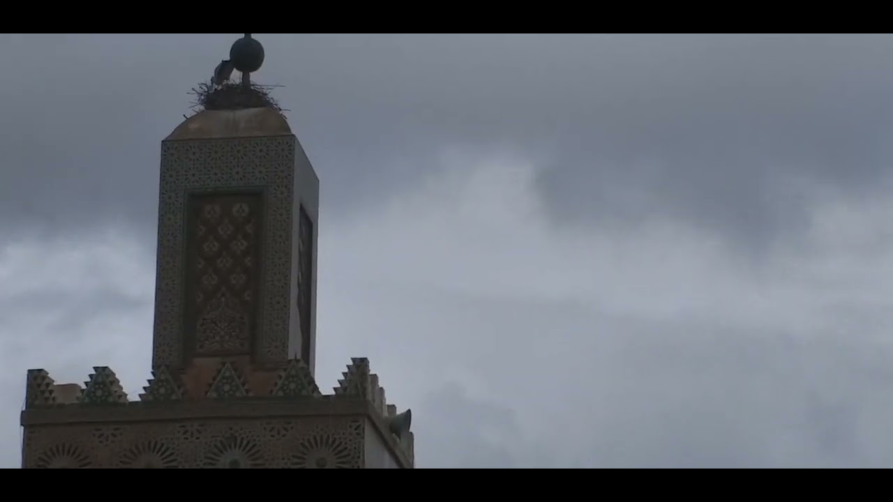 مسجد سيدي الحلوي بمدينة تلمسان.جمعة مباركة 28 رمضان 1443هجري. الختمة.
