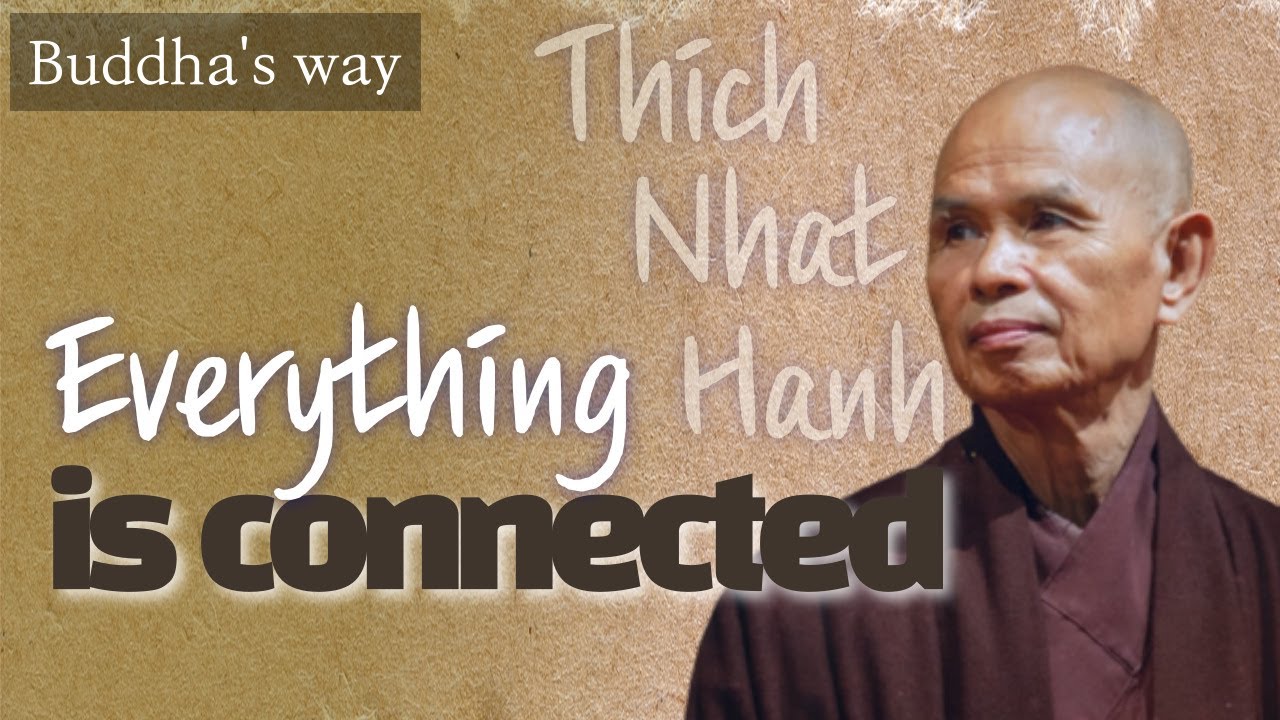 Everything is connected [Buddha's way 22]