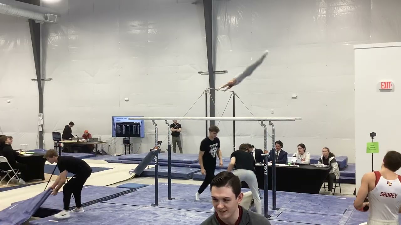 Parallel Bars
