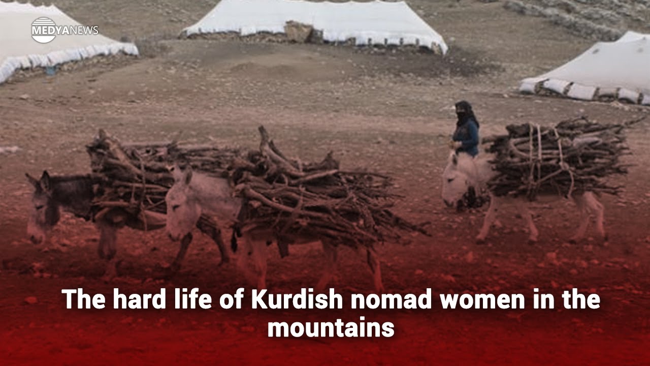 The hard life of Kurdish nomad women in the mountains