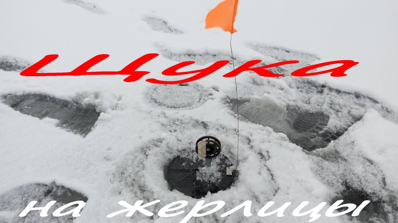 Отличное открытие зимней рыбалки. Ловля щуки на жерлицы зимой. Река Унава