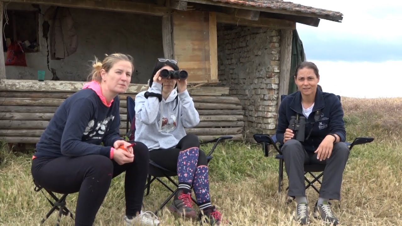Dru&scaron;tvo za za&scaron;titu i proučavanje ptica Srbije za četiri godine na put izvelo osam mladunaca orla krs