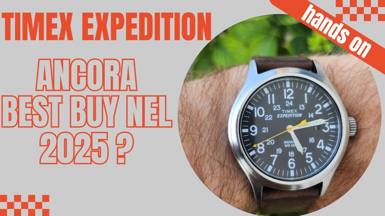 TIMEX EXPEDITION: ancora un best buy nel 2025?? #timex #orologiodelgiorno #watchoftheday