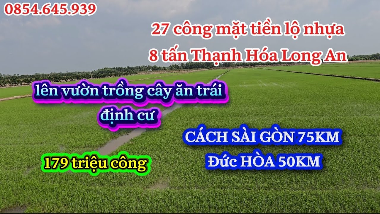 Số123/ tuổi già không khả năng lao động cần bán lô đất 27 công mặt tiền lộ nhựa xe lớn chạy 