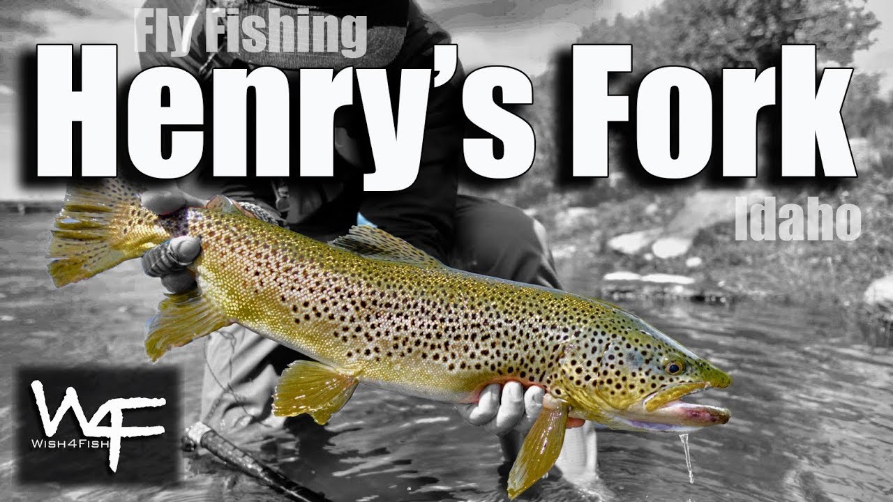 W4F — Нахлыстовая рыбалка «Henry's Fork», Айдахо