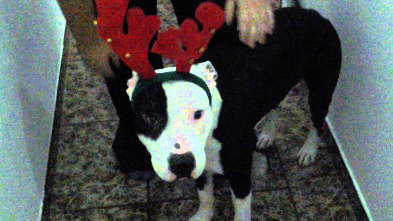 Navidades Killodenas con Trauson y Killo