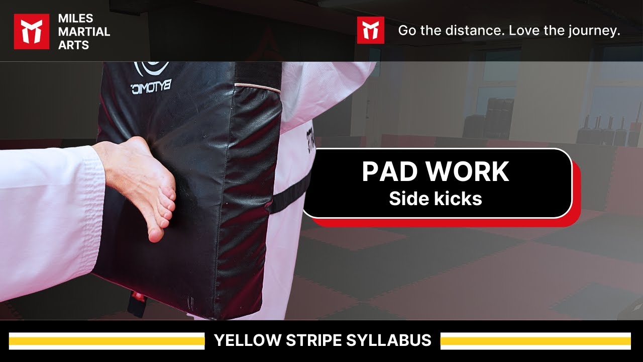 PAD WORK SIDE KICK