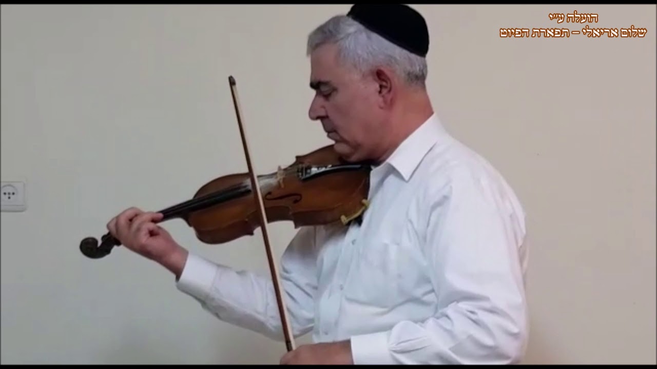 קול ברמה נשמע ניגון חסידי המוסיקאי משה חבושה