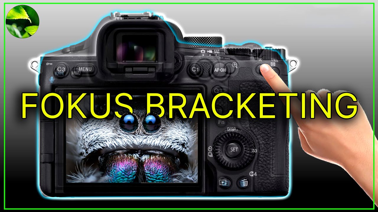 Scharfe Fotos mit Fokus Bracketing: Sony A7V & CO Anleitung