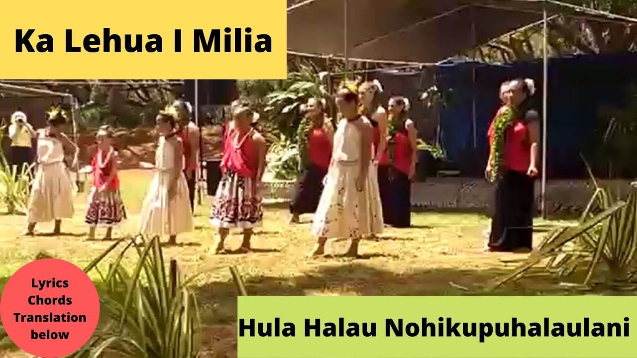 Ka Lehua I Milia hula dance, lyrics, chords, translation. Hula Halau Nohikupuhalaulani dances.
