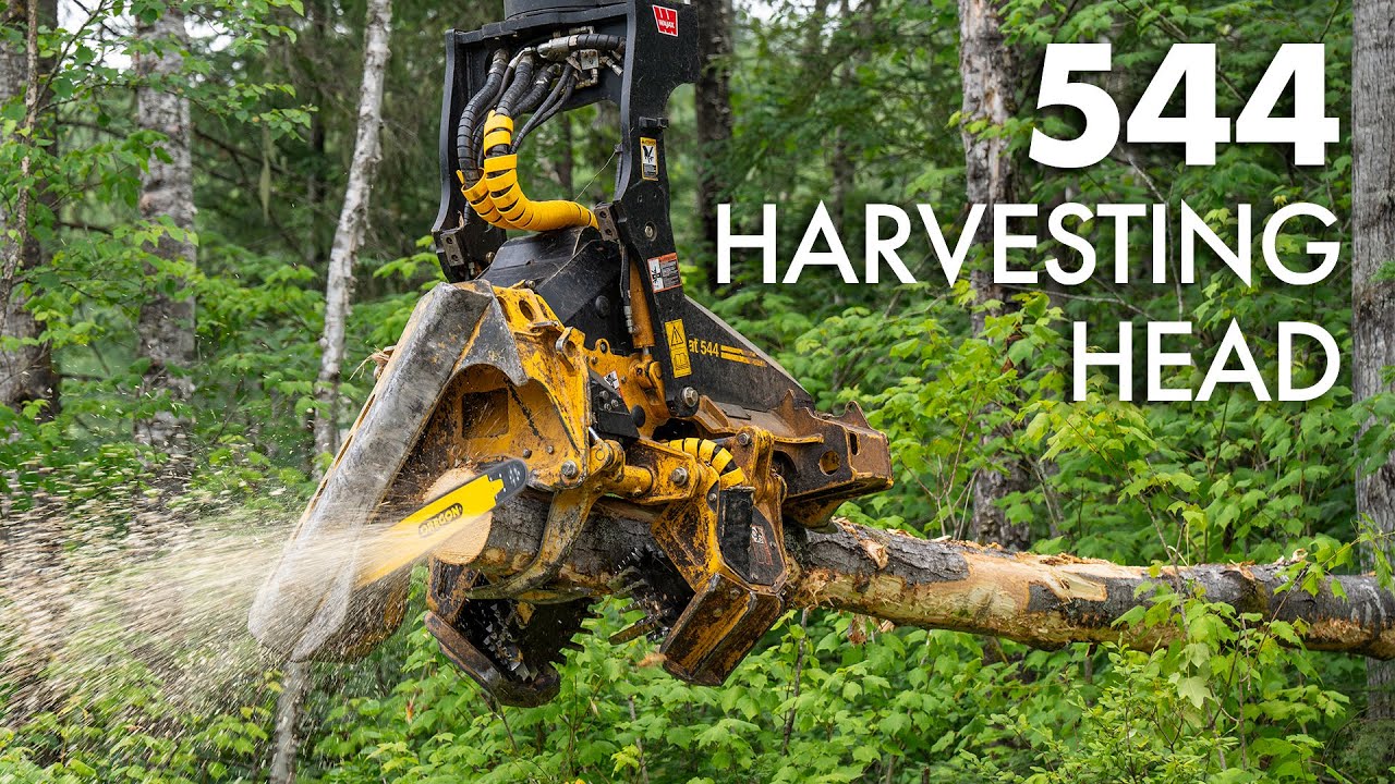 Tigercat 544 Harvesting Head in a Mixed Stand