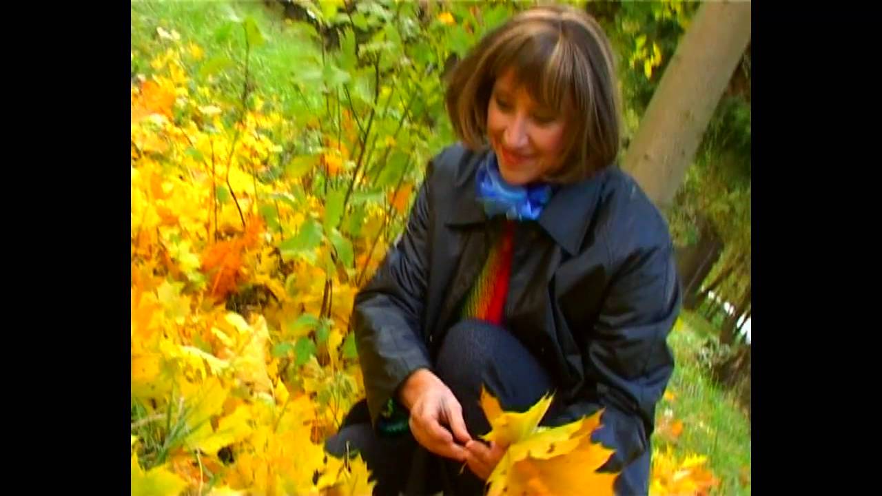 Rūta Morozovaitė - Klevai