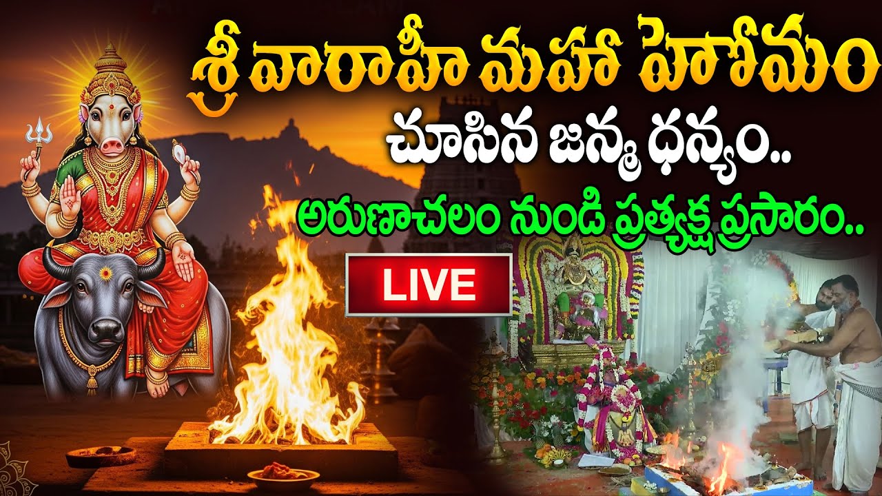 LIVE : వారాహి నవరాత్రులు -  చివరి రోజు అరుణాచలంలో వారాహి మహా హోమం | Varahi Homam In Arunachalam