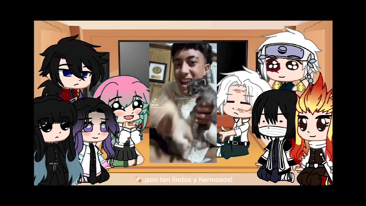 •|los pilares reaccionan a tiktoks 2/?|• espero que les guste!. 💗💗