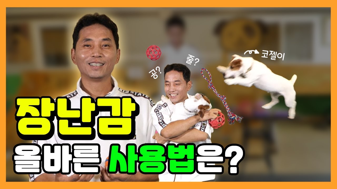 [Eng sub] 반려견 장난감 올바른 사용법은? ㅣ correct use a toy  [이찬종TV EP.09]