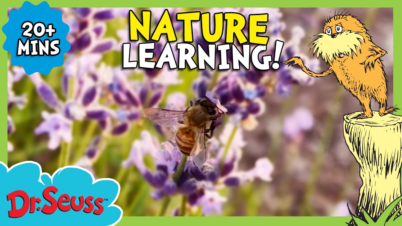 Quadruple Episode! | Let's Explore The Wonders Of Nature | The Lorax Nature Keepers Club | Dr. Seuss