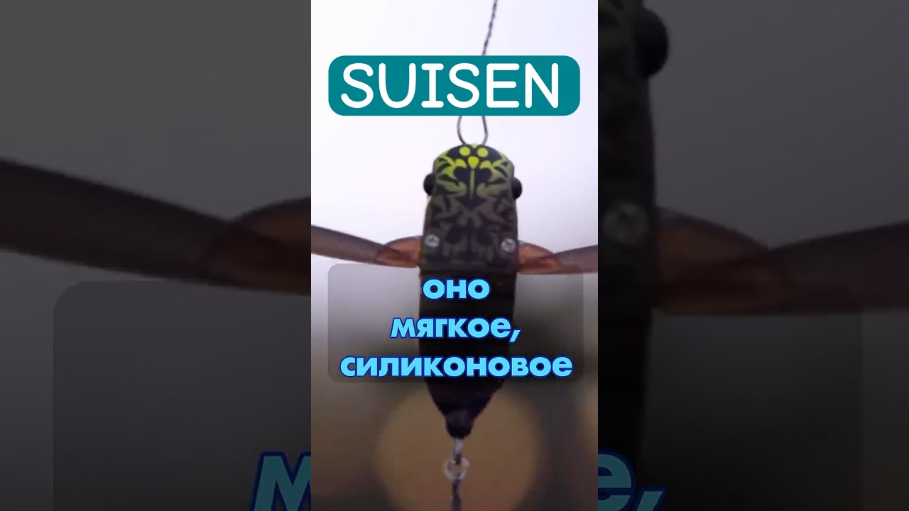 SUISEN! Обзор новинки 2025 года от JACKALL! #jackall  #fishing #japan #new #newvideo