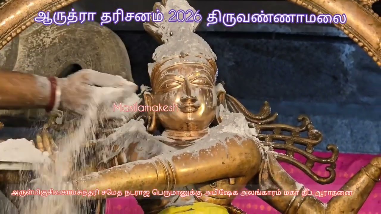 உலகத்திலேயே அழகான நடராஜர்-ஆருத்ரா தரிசனம் திருவண்ணாமலை