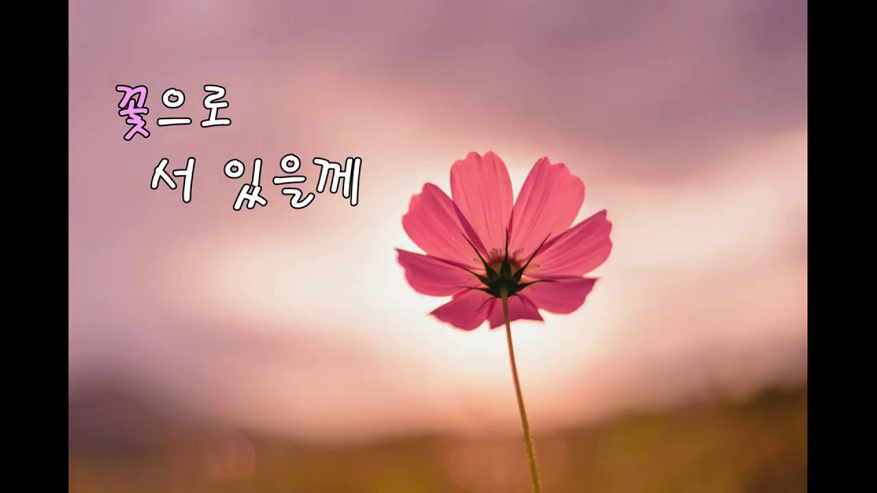 한국가곡 마중(10번듣기)
