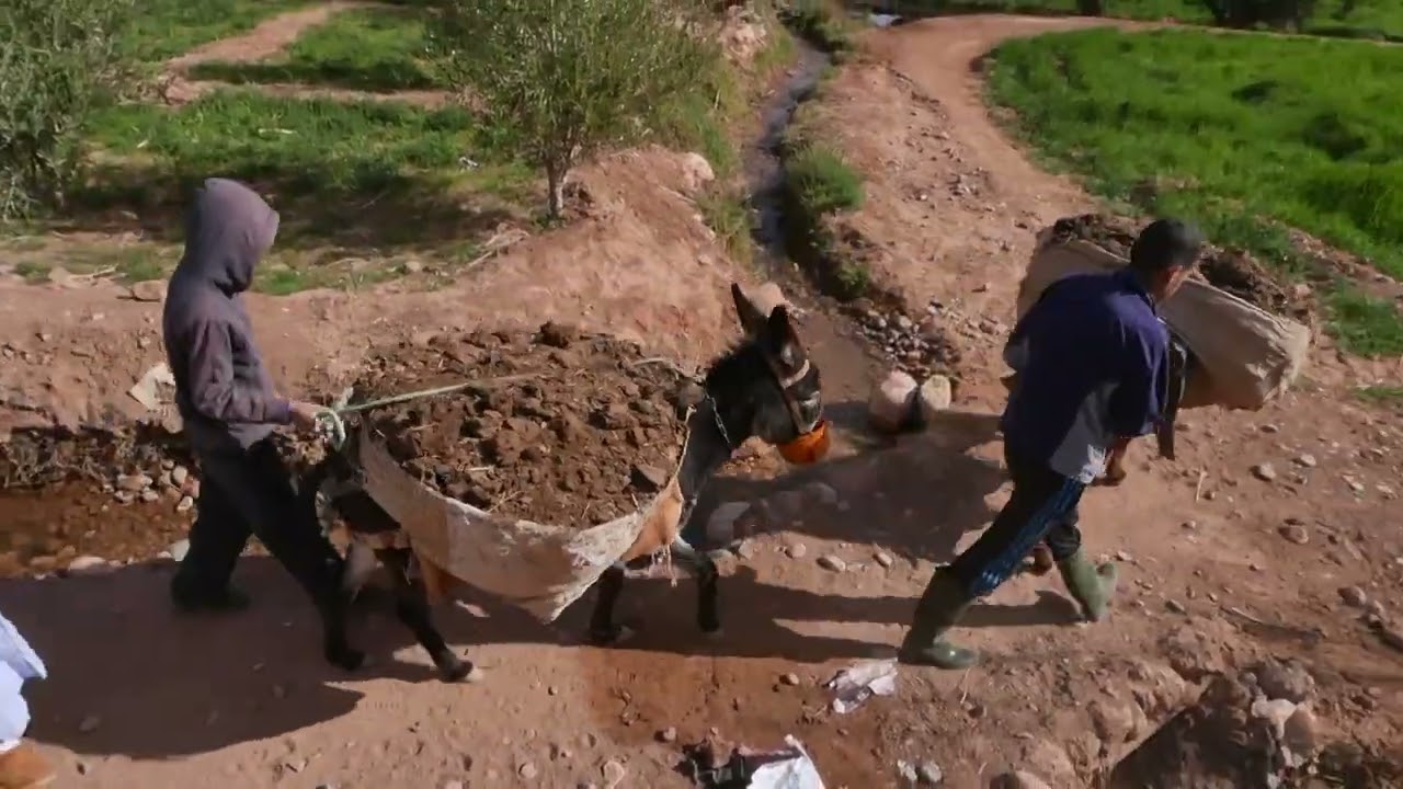 10 Ouarzazate Dades Valley
