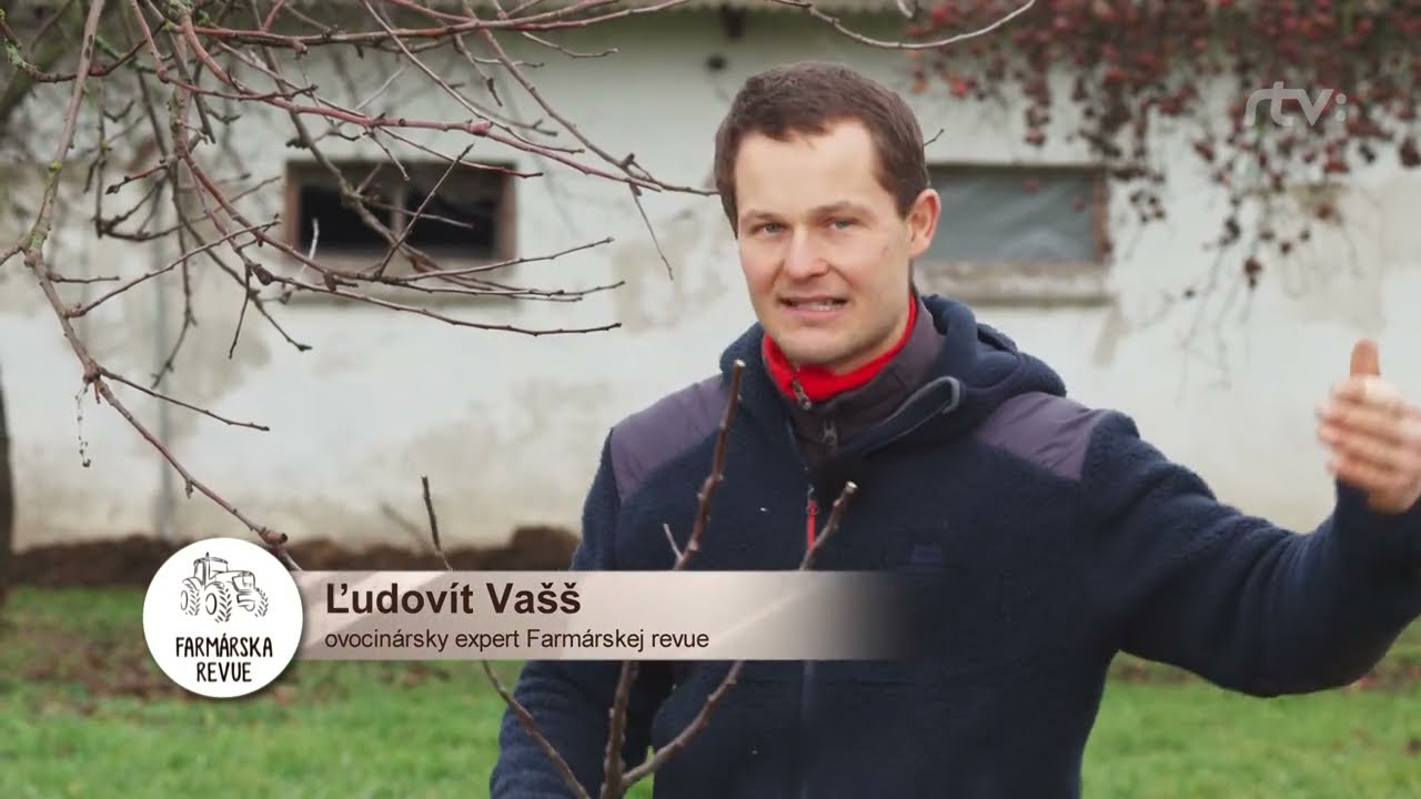 Rady do záhrady: TVAROVANIE ZAKRACOVANÍM